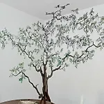 Uno Spettacolo Della Natura Apartamento San Lucido